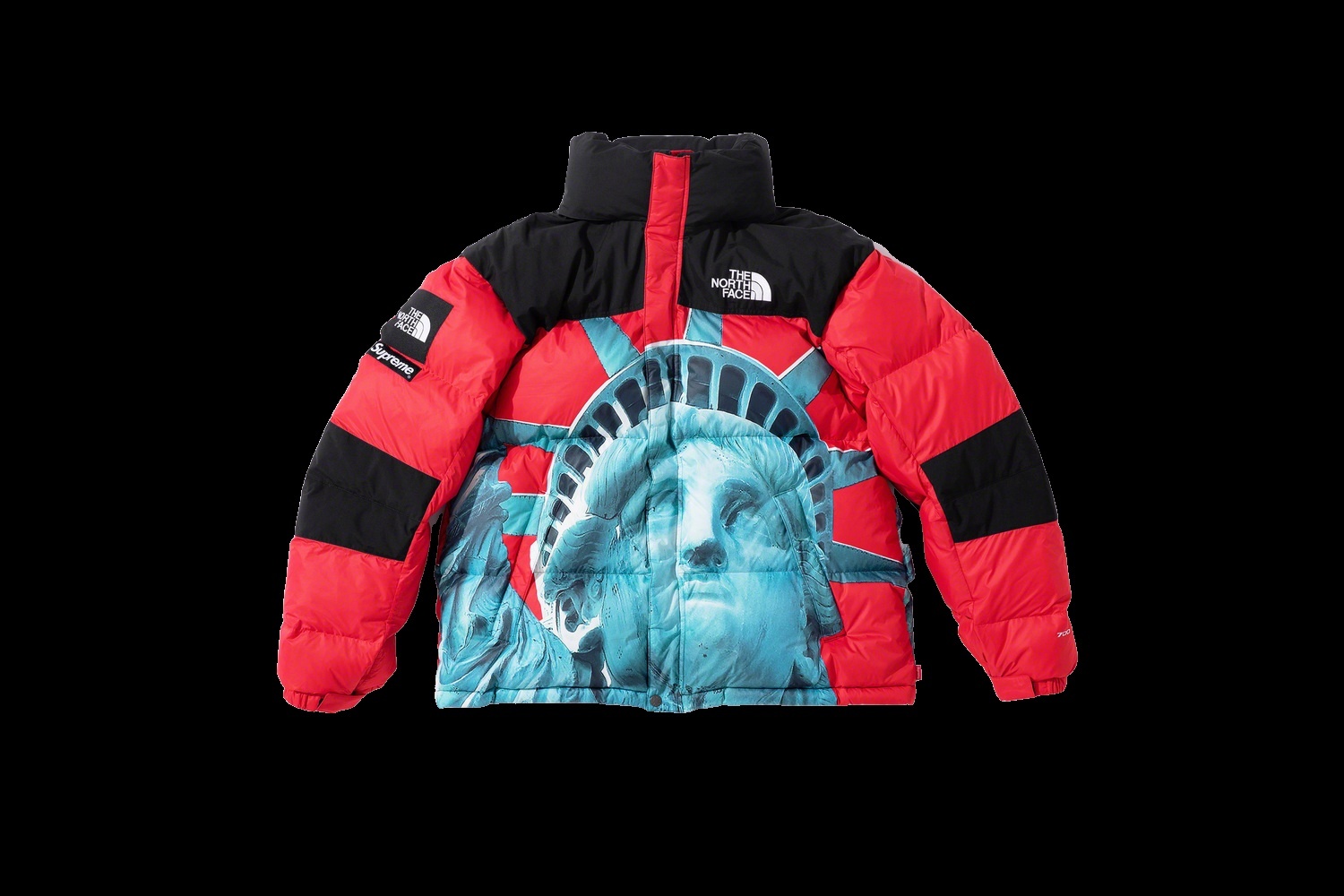 Supreme®/The North Face® Statue of Liberty Baltoro Jacket view 20